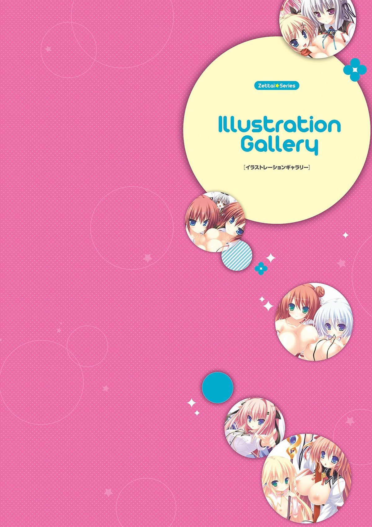 ゼッタイシリーズビジュアル全集（全集）