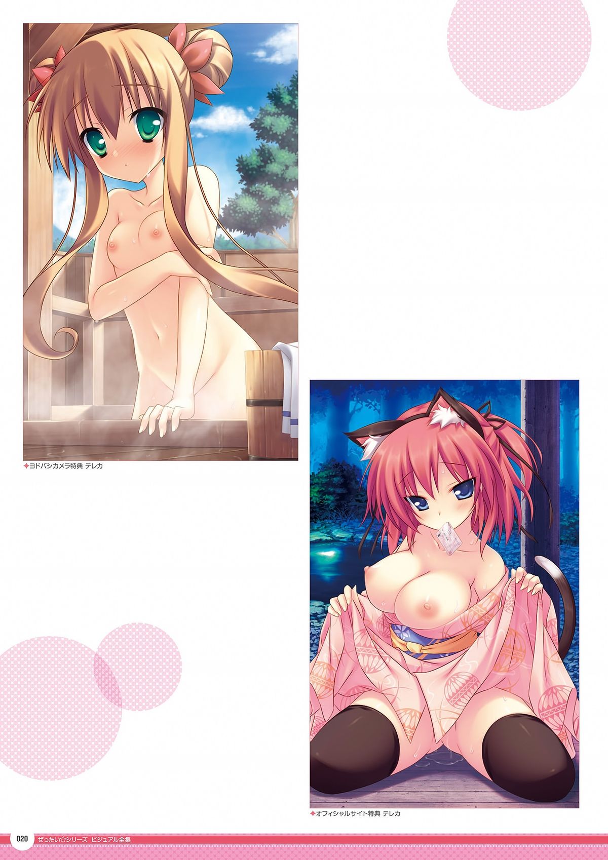 ゼッタイシリーズビジュアル全集（全集）