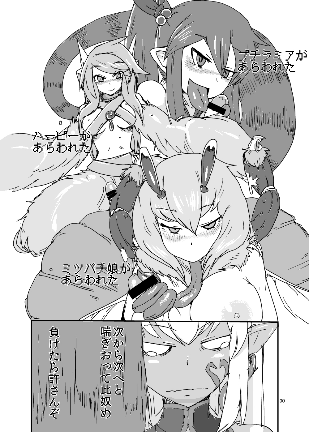 [瀬戸内製薬 (瀬戸内)] もんむす・くえすと!ビヨンド・ジ・エンド 2 (もんむす・くえすと!前章 ～負ければ妖女に犯される～) [DL版]