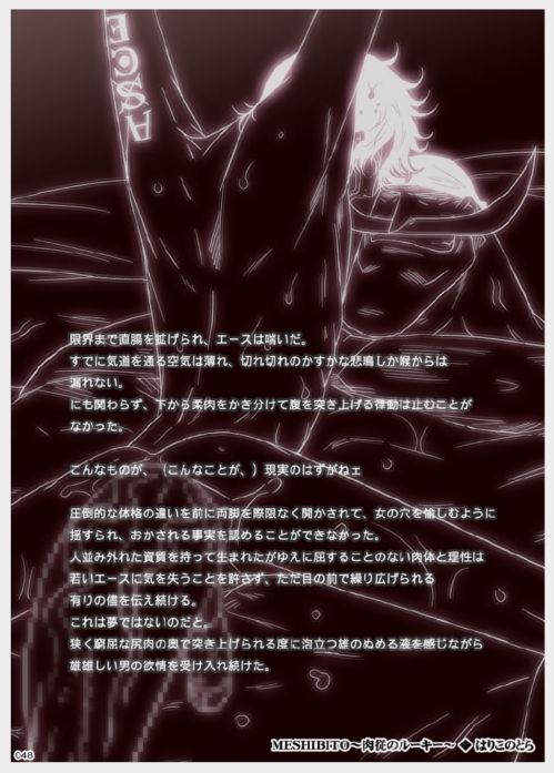 [はりこのとら (水堂とらこ)] MESHIBITO～肉従のルーキー～ (ワンピース)