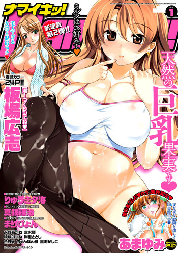 ナマイキッ！ 2011年1月号 [DL版]