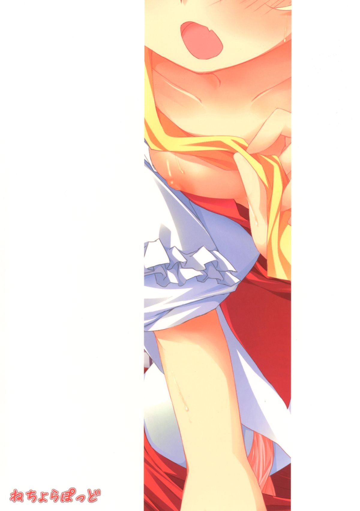 (C80) [ねちょらぽっど (なんぷぅ)] フランのおもちゃ (東方Project)