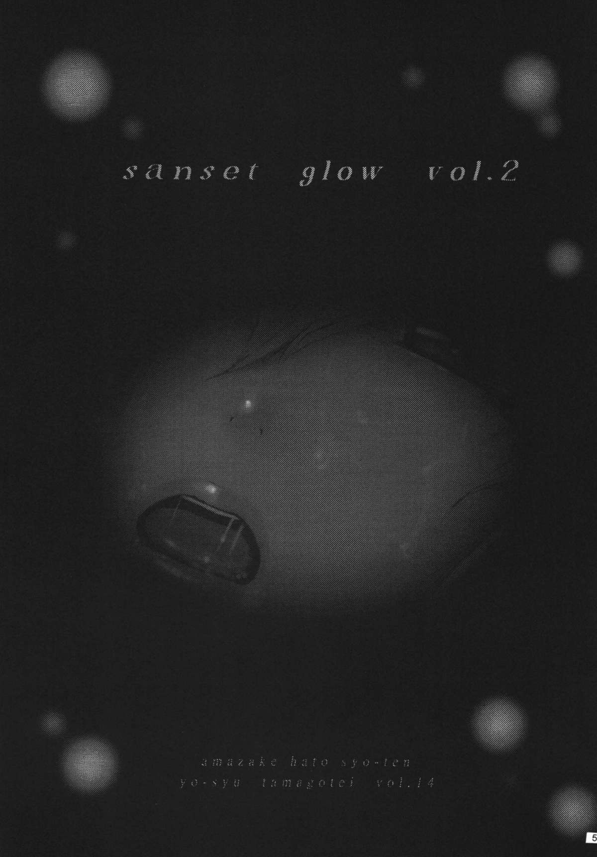 [甘酒鳩商店 (養酒オヘペ)] Sunset Glow Vol.2 (モンスターハンター) [DL版]