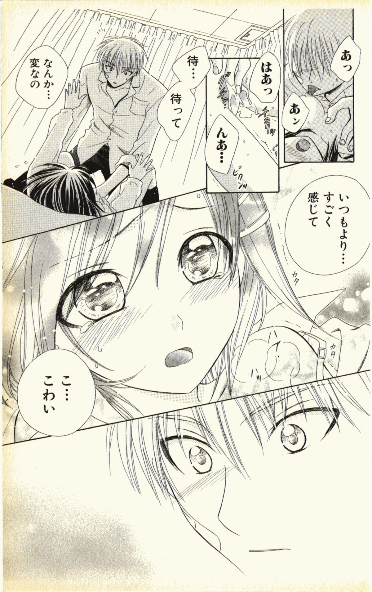 [夏葉ヤシ] ペットの時間 Pet Tune Lovers