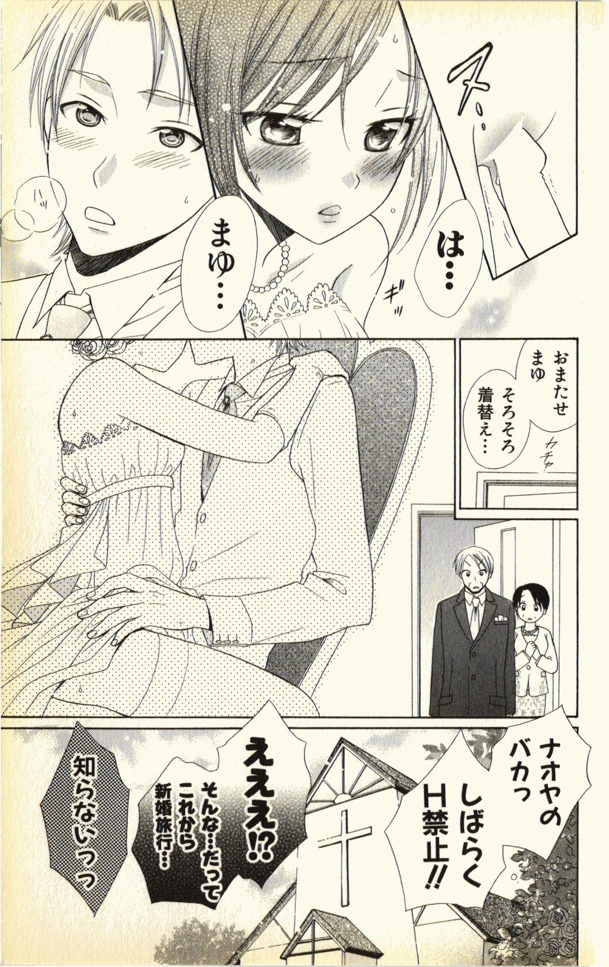 [夏葉ヤシ] ペットの時間 Pet Tune Lovers