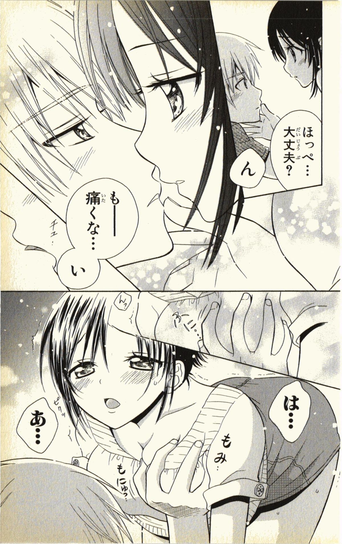 [夏葉ヤシ] ペットの時間 Pet Tune Lovers