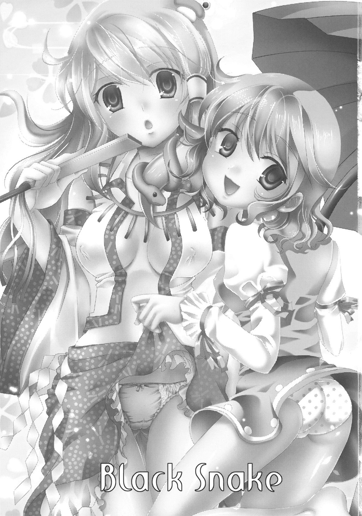 (例大祭7) [三日月音頭 (林田虎之助)] Black Snake (東方Project)