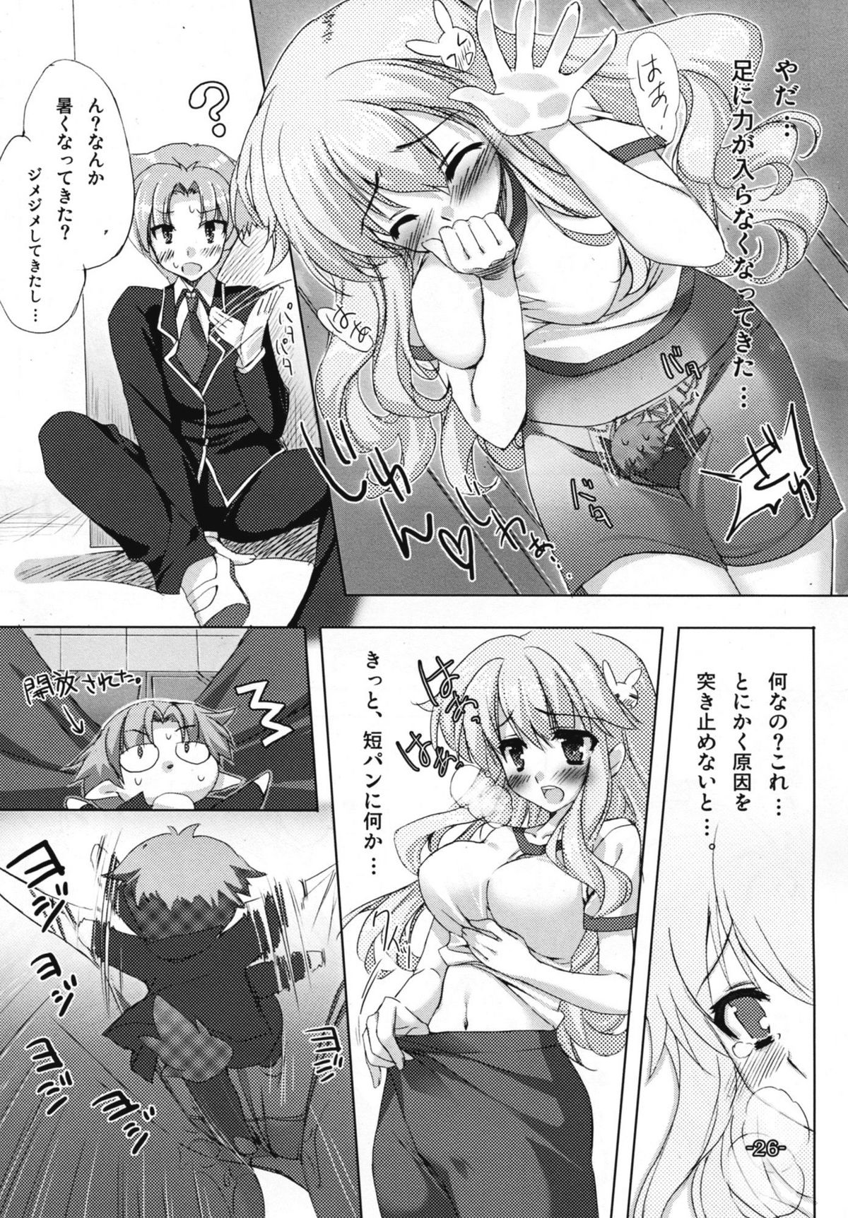 (C81) [サツキん家 (皐月みすず)] バカとチ○コと××× (バカとテストと召喚獣)