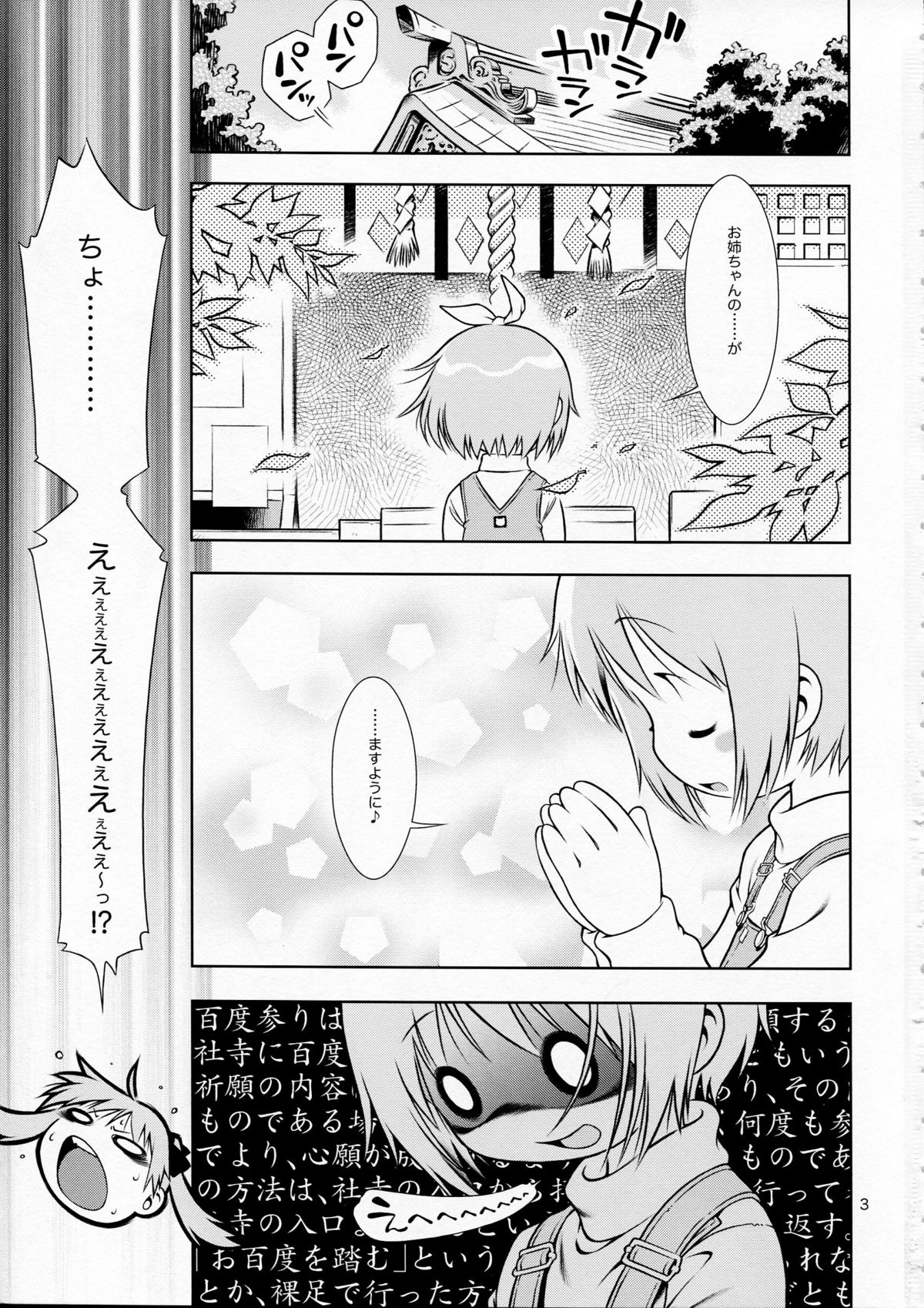 (COMIC1☆3) [マヨネーズ幕府 (せきはん)] デカトリス (らき☆すた)
