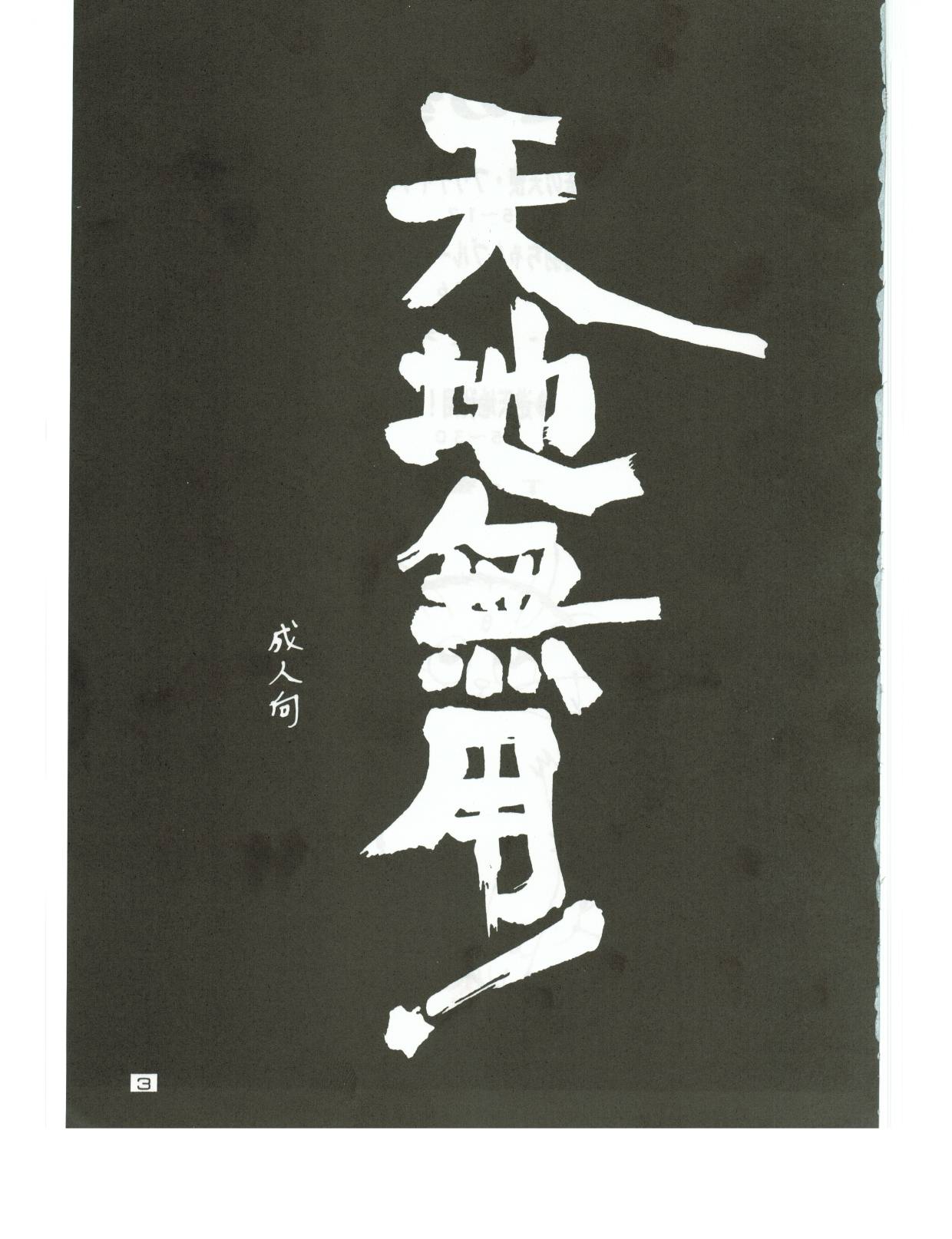 (C48) [男のROMAN (T・郁弥)] 裸足の女神 (天地無用! 魎皇鬼)