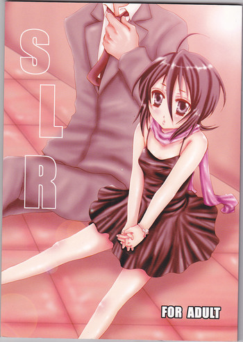 (C74) [ぽんちーず(仮) (彩羽スイ、蜜蜂)] SLR (ブリーチ) [ページ欠落]