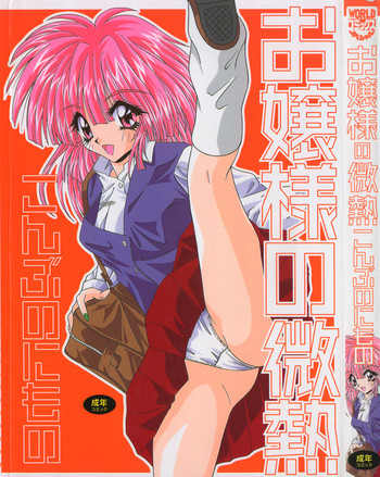 [こんぶのにもの] お嬢様の微熱