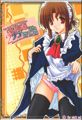 (C75) [怪楽集団 (かとうかかし)] 家政婦さんが見てる 2 (ハヤテのごとく！)