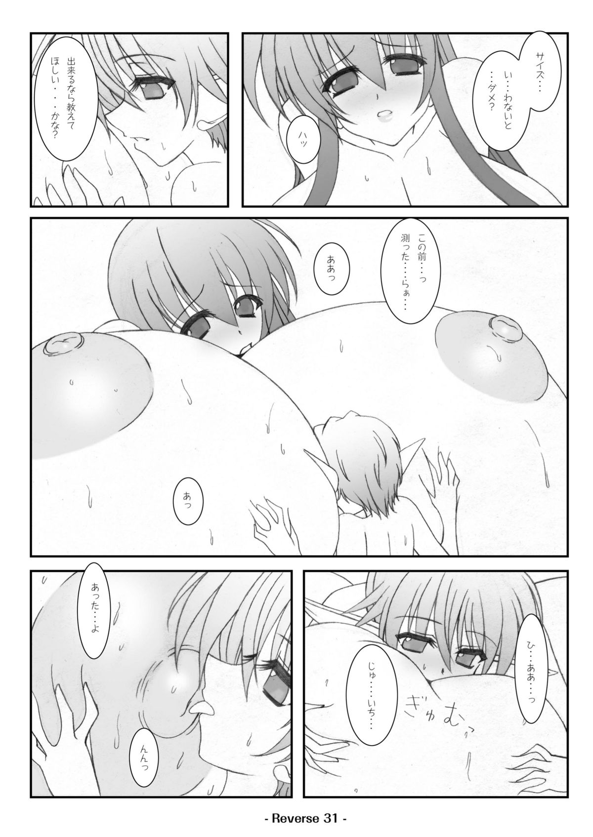 [elflite (県晶)] Reverse