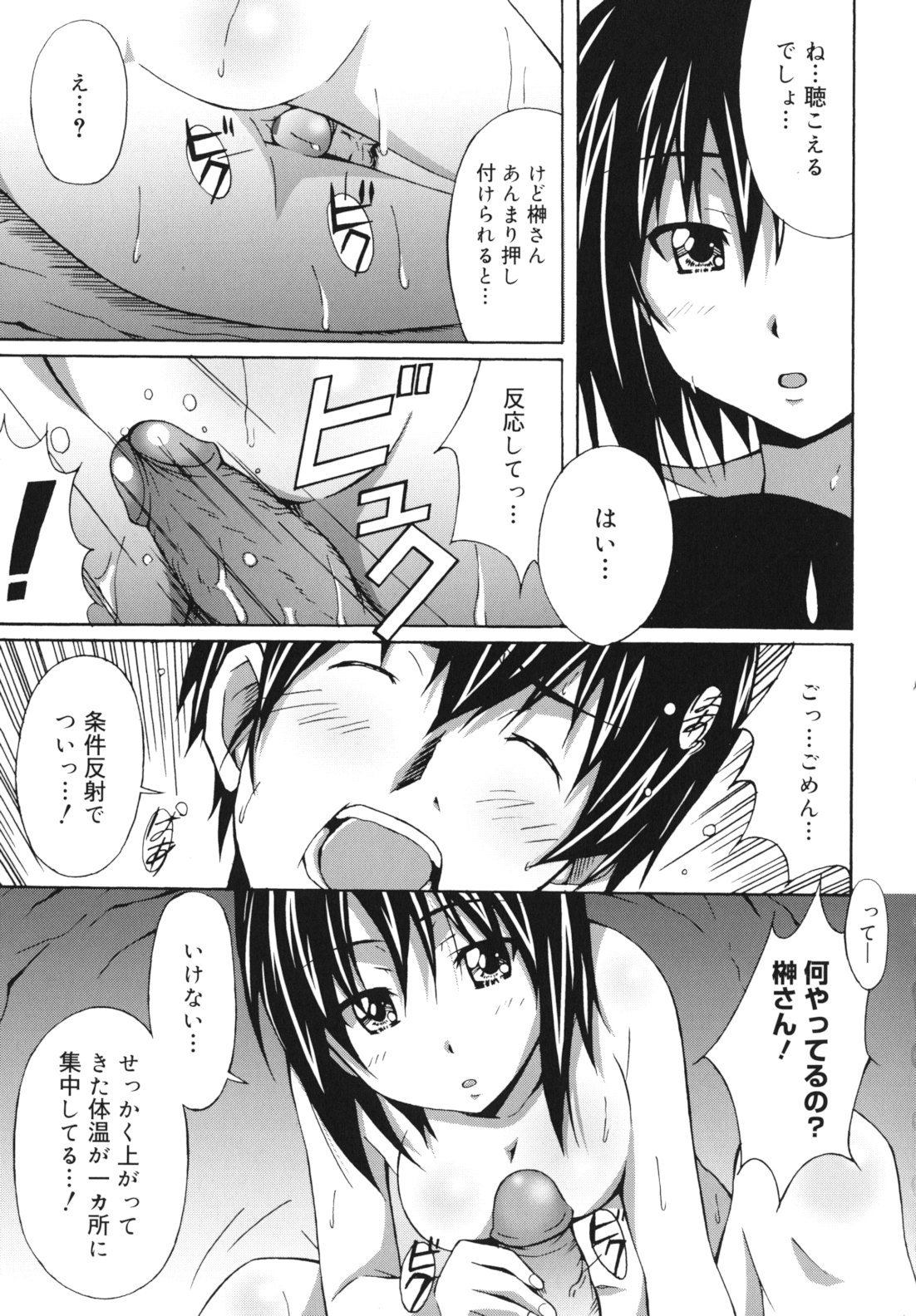 [PONPON] はいばねいしょん!
