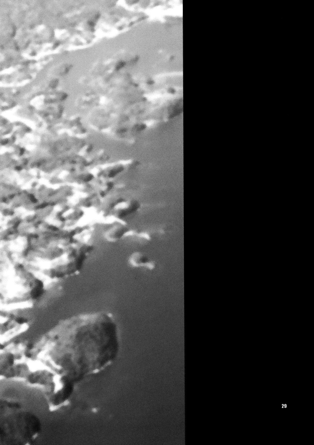 (C79) [シャルロット・ココ (ゆきやなぎ)] 女戦士と世界の運命 (ドラゴンクエストIII)