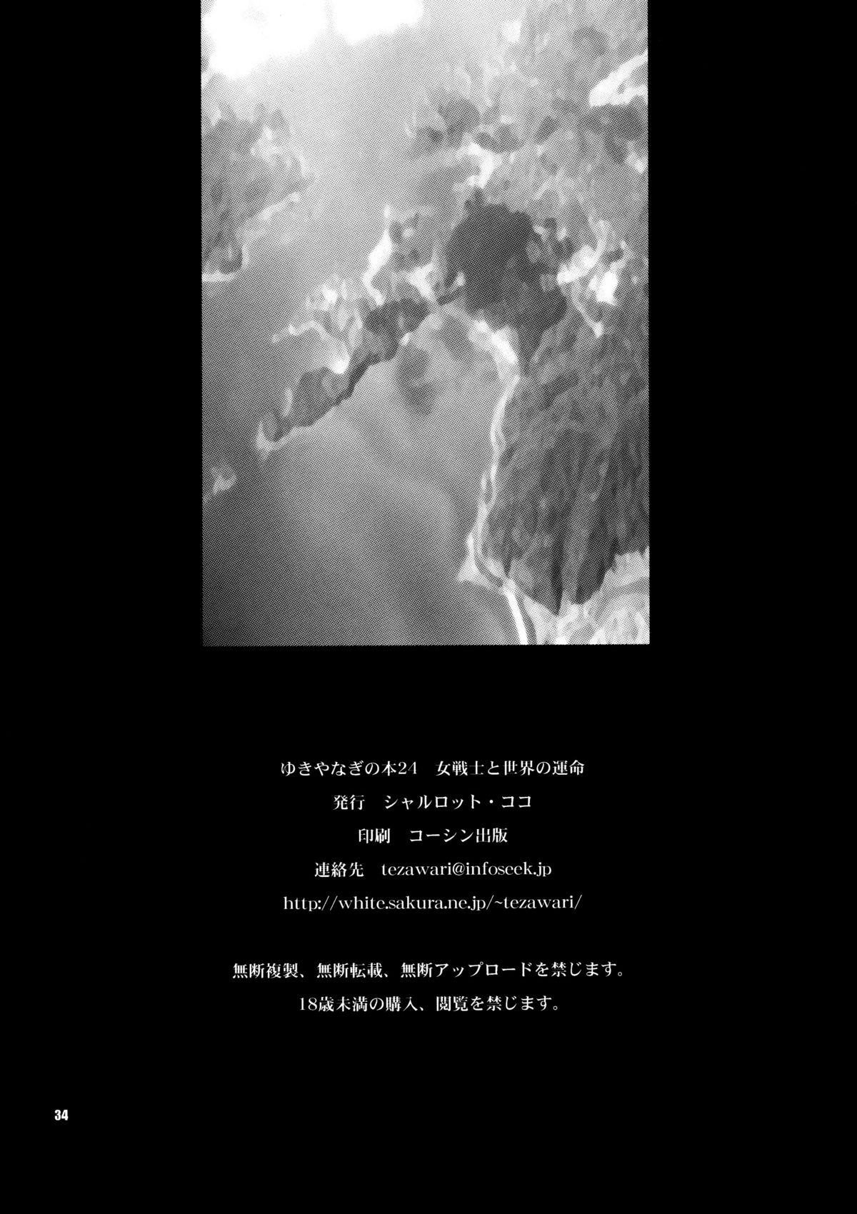 (C79) [シャルロット・ココ (ゆきやなぎ)] 女戦士と世界の運命 (ドラゴンクエストIII)