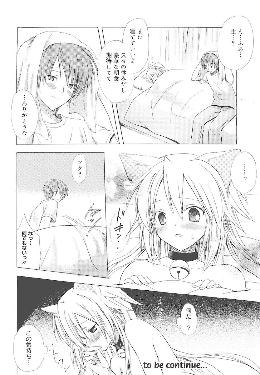 [小宮裕太] Dreamsicle