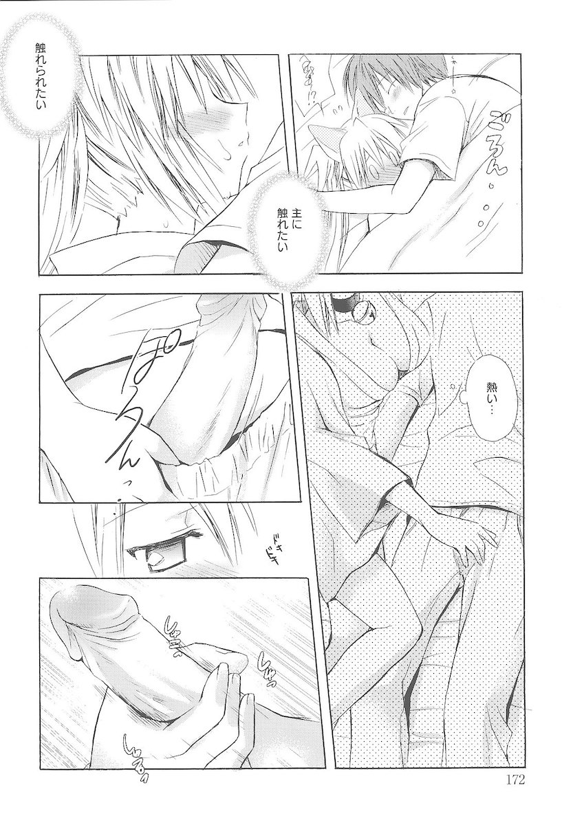 [小宮裕太] Dreamsicle