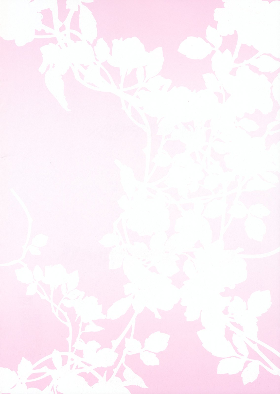 (C79) [うたかた。 (小沢ひより)] Meaning of Love (東方Project)