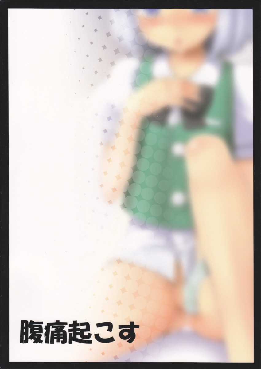 (C78) [腹痛起こす (悔王)] ようぷらす(東方Project)