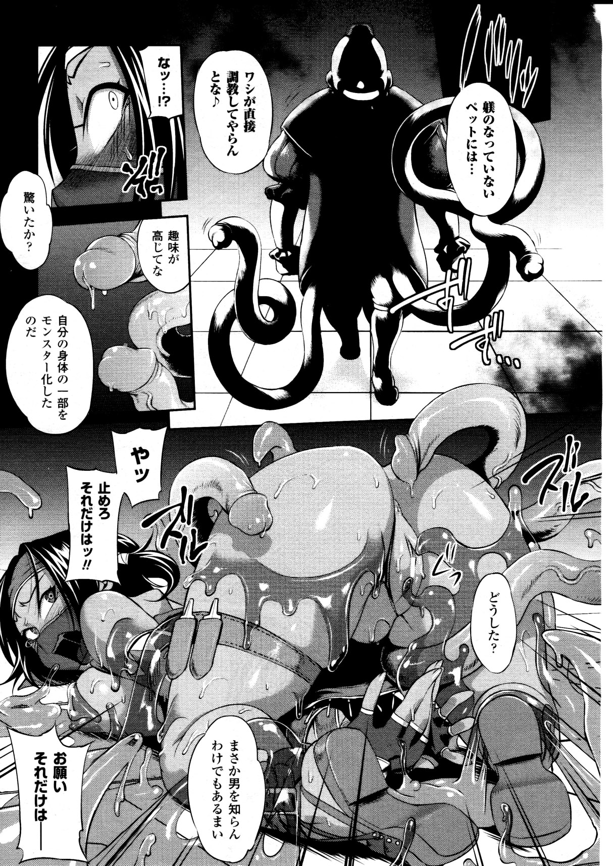 コミックアンリアル 2010年12月号 Vol.28