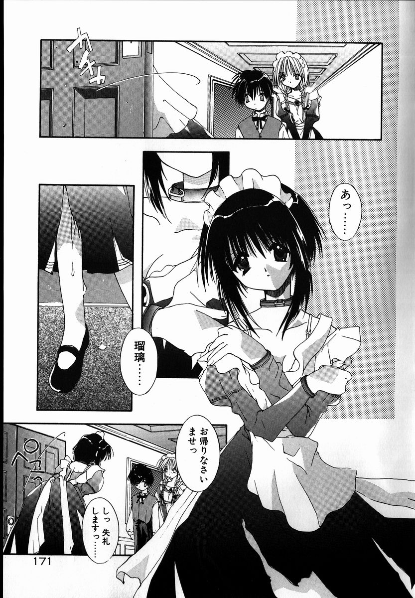 [しかげなぎ] SUGAR CUBE DOLL