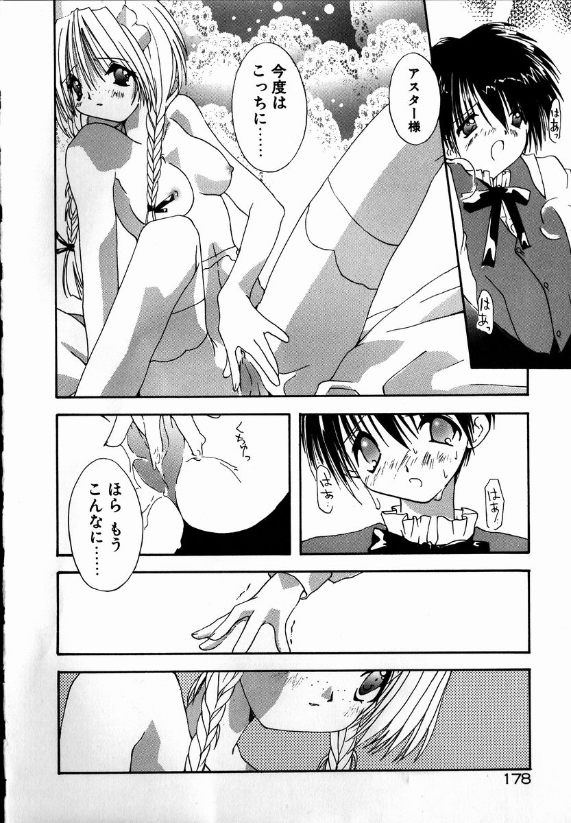 [しかげなぎ] SUGAR CUBE DOLL