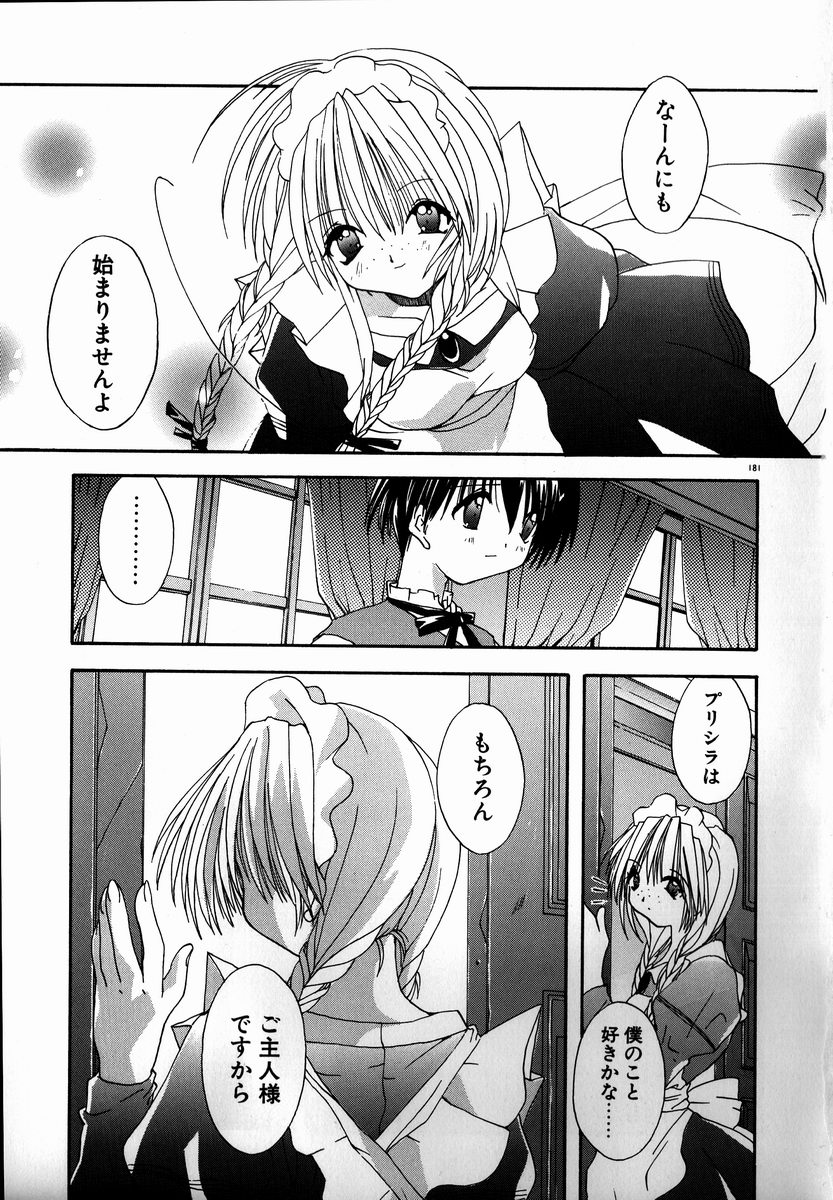 [しかげなぎ] SUGAR CUBE DOLL