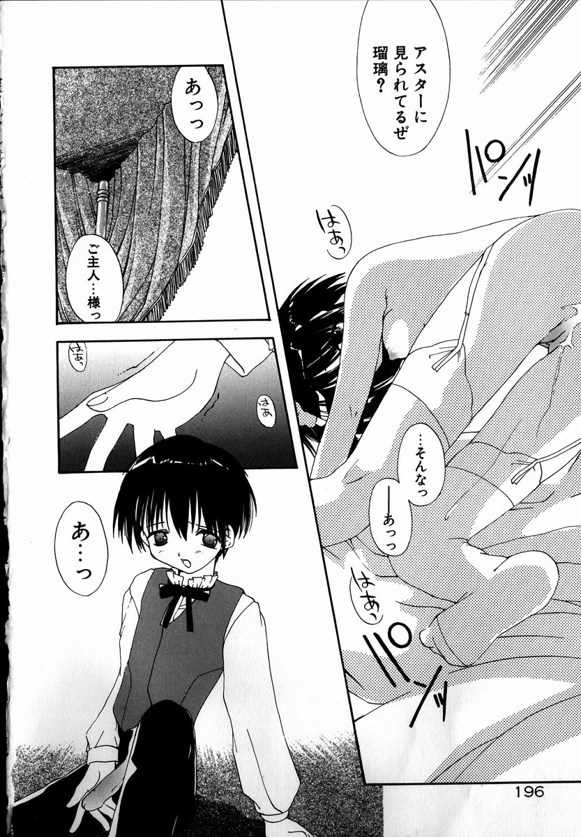 [しかげなぎ] SUGAR CUBE DOLL