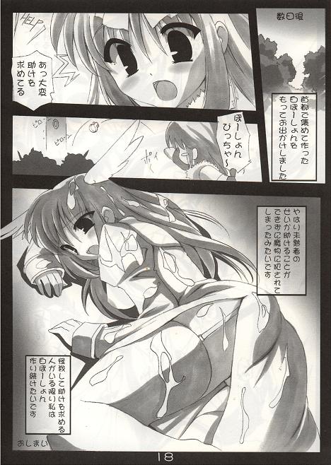 (C66) [コスプレ喫茶娘々 (流水音)] ぶっかけ白ぽーしょん (ラグナロクオンライン)