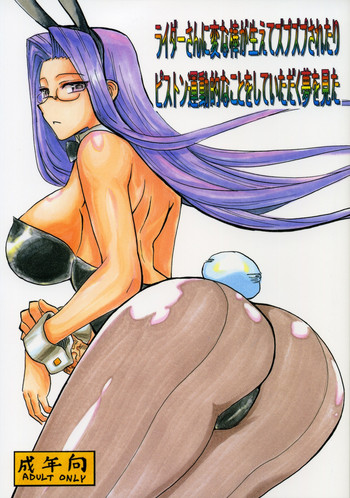 [キングリボルバー (菊田高次)] ライダーさんに変な棒が生えてズプズプされたりピストン運動的なことをしていただく夢を見た (Fate / hollow ataraxia)