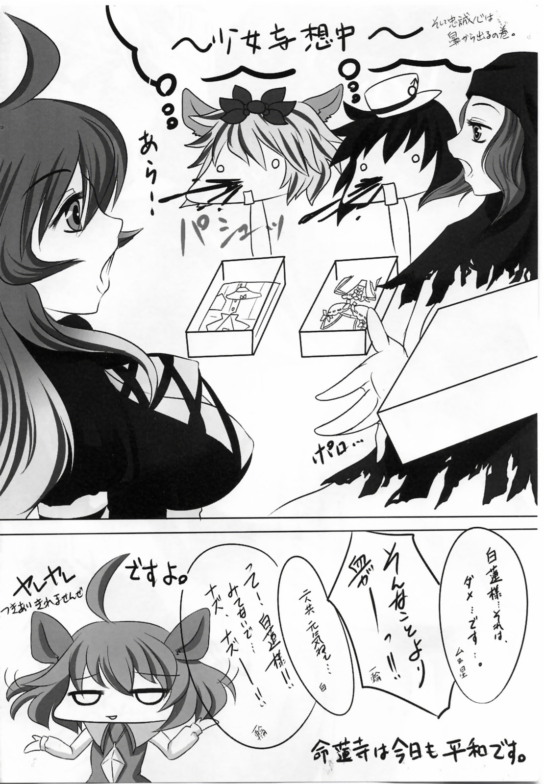 (例大祭7) (同人誌) [黒猫本舗 (紅孔雀)] コレは被るものですか？ (東方)