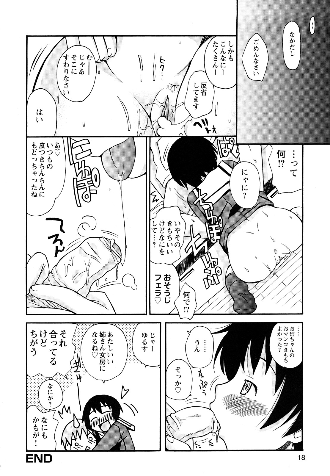 [狩野蒼穹] ぼくだって姉とセックスしてみたい！