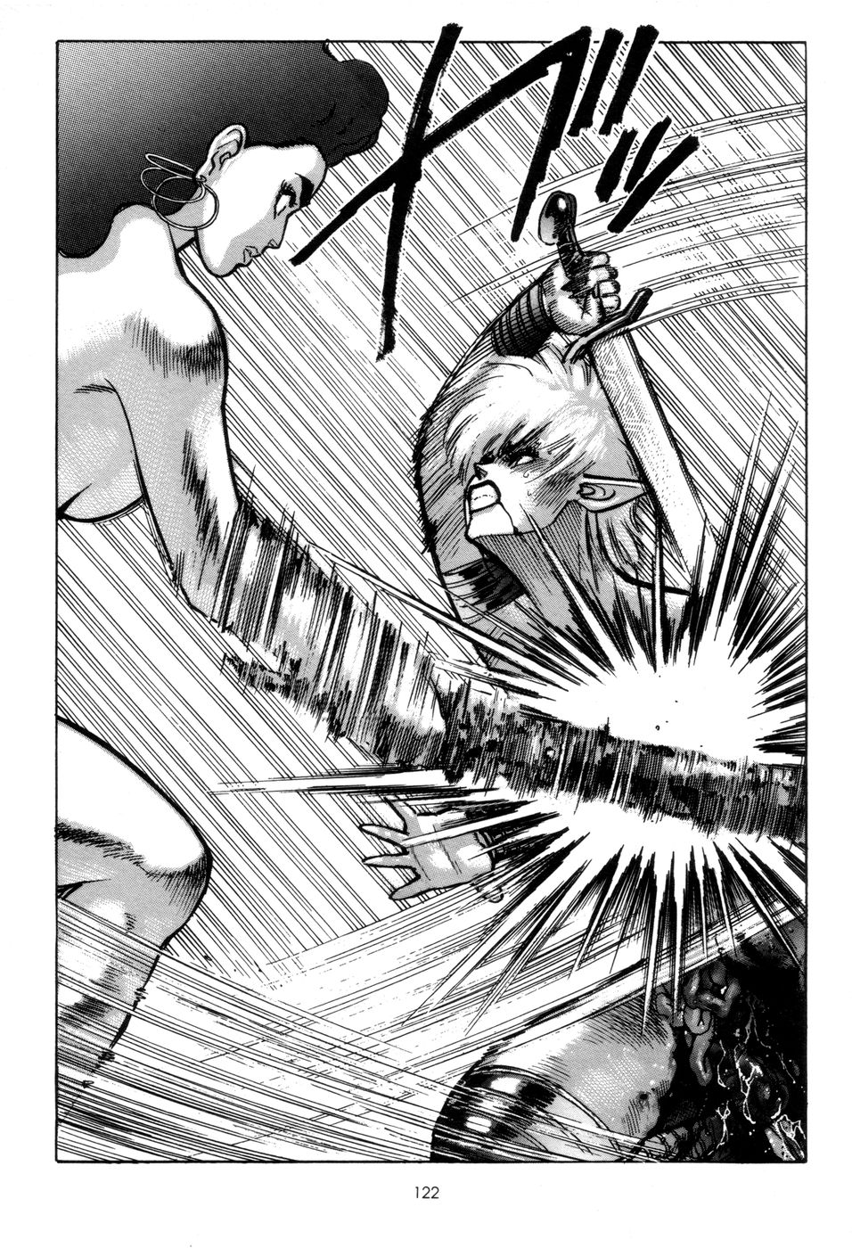 [山本貴嗣] 剣の国のアーニス