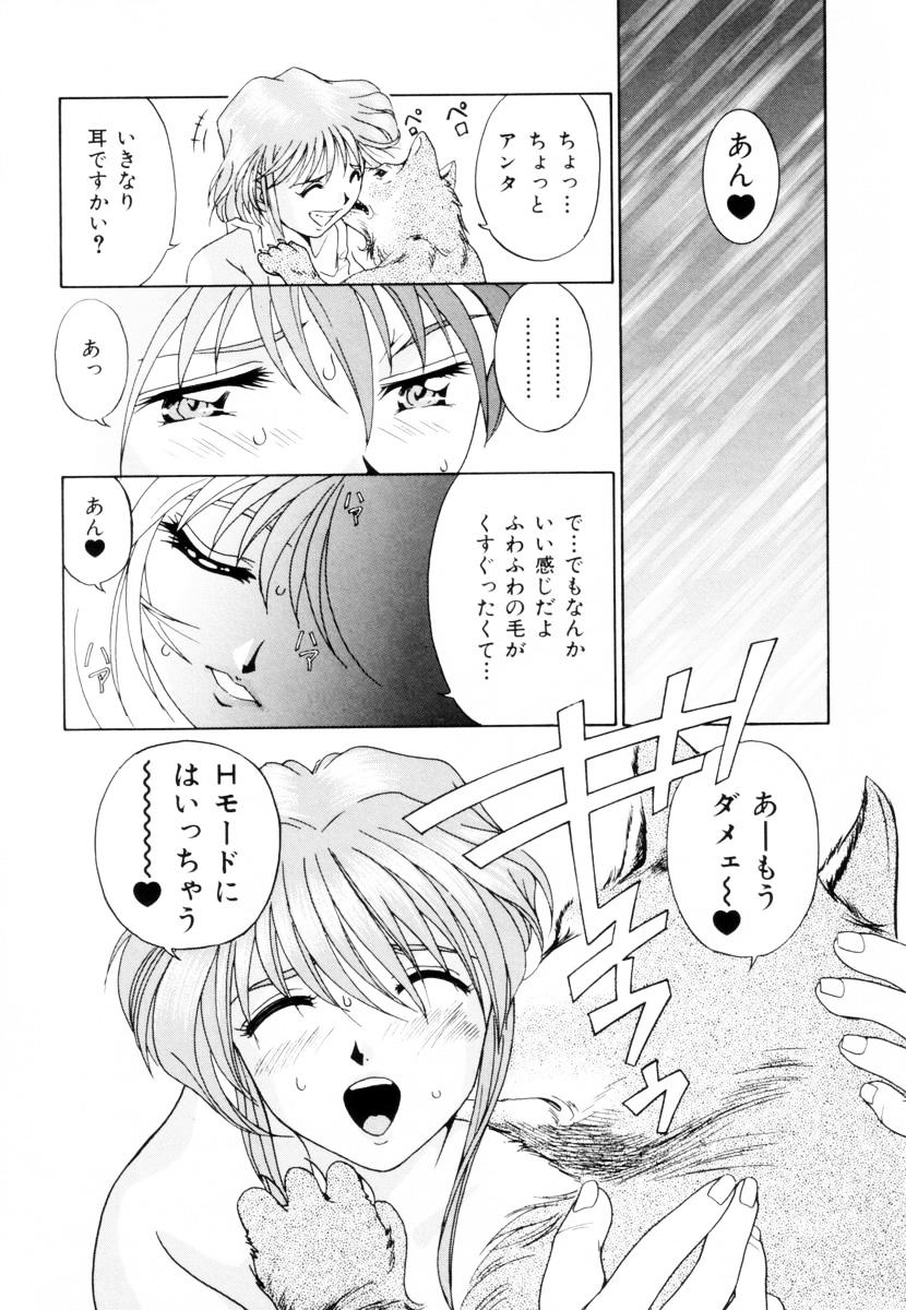 [くまさん] 聖餐夜