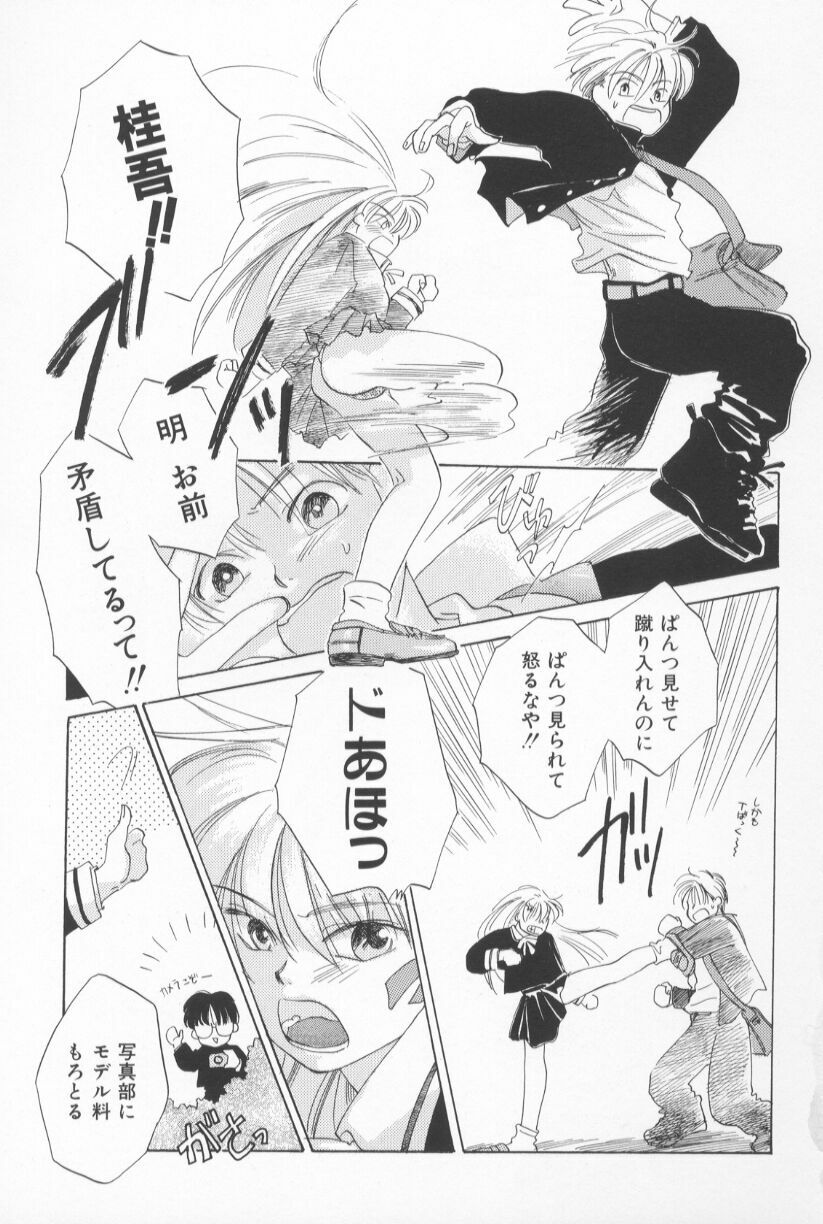 [甘夏真琴] Mixed AM