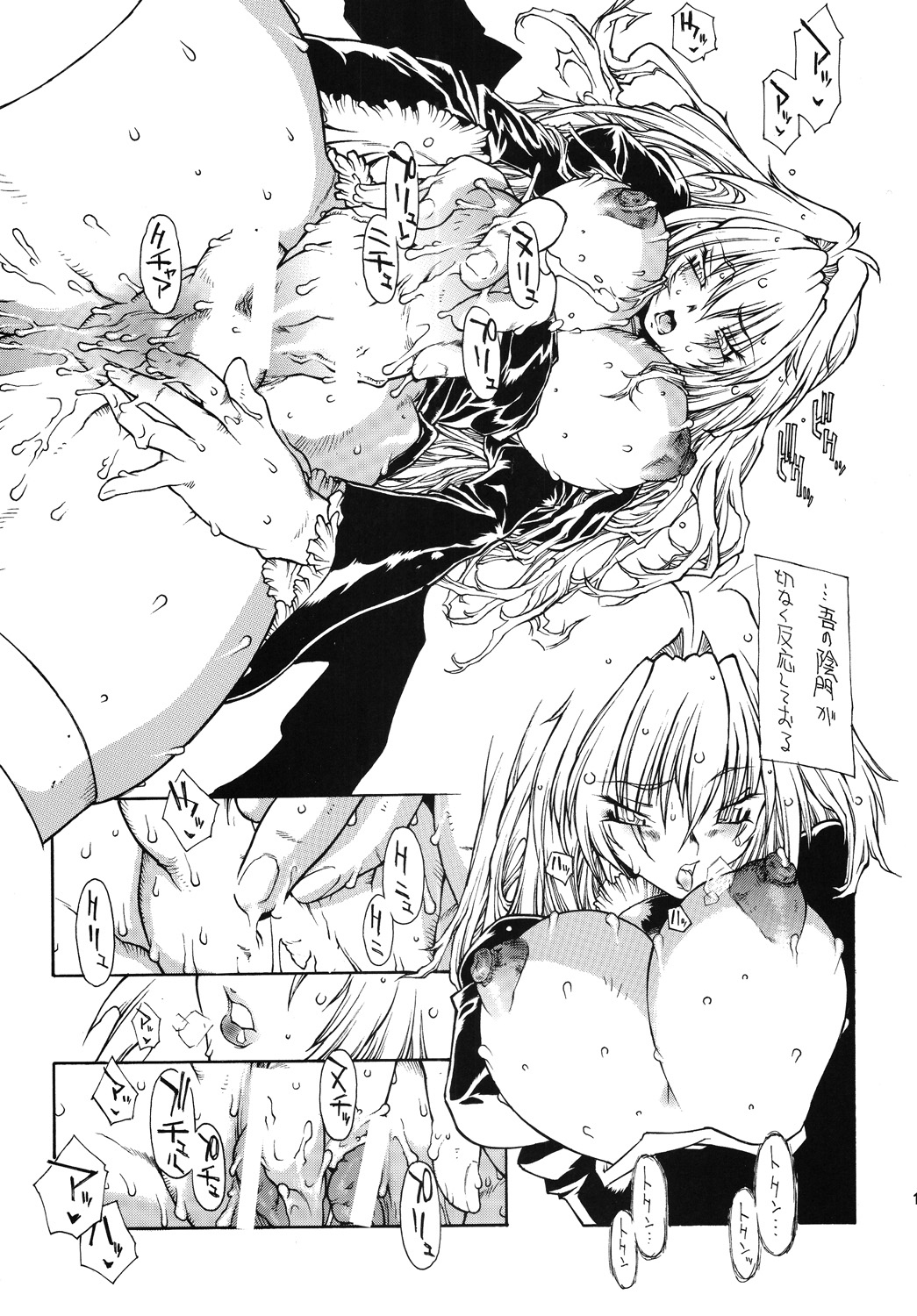 [イコノクラスト (B-MARY)] 双月 (セキレイ)