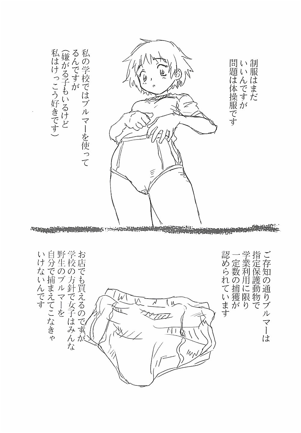 [ZERRY藤尾] ひまわり