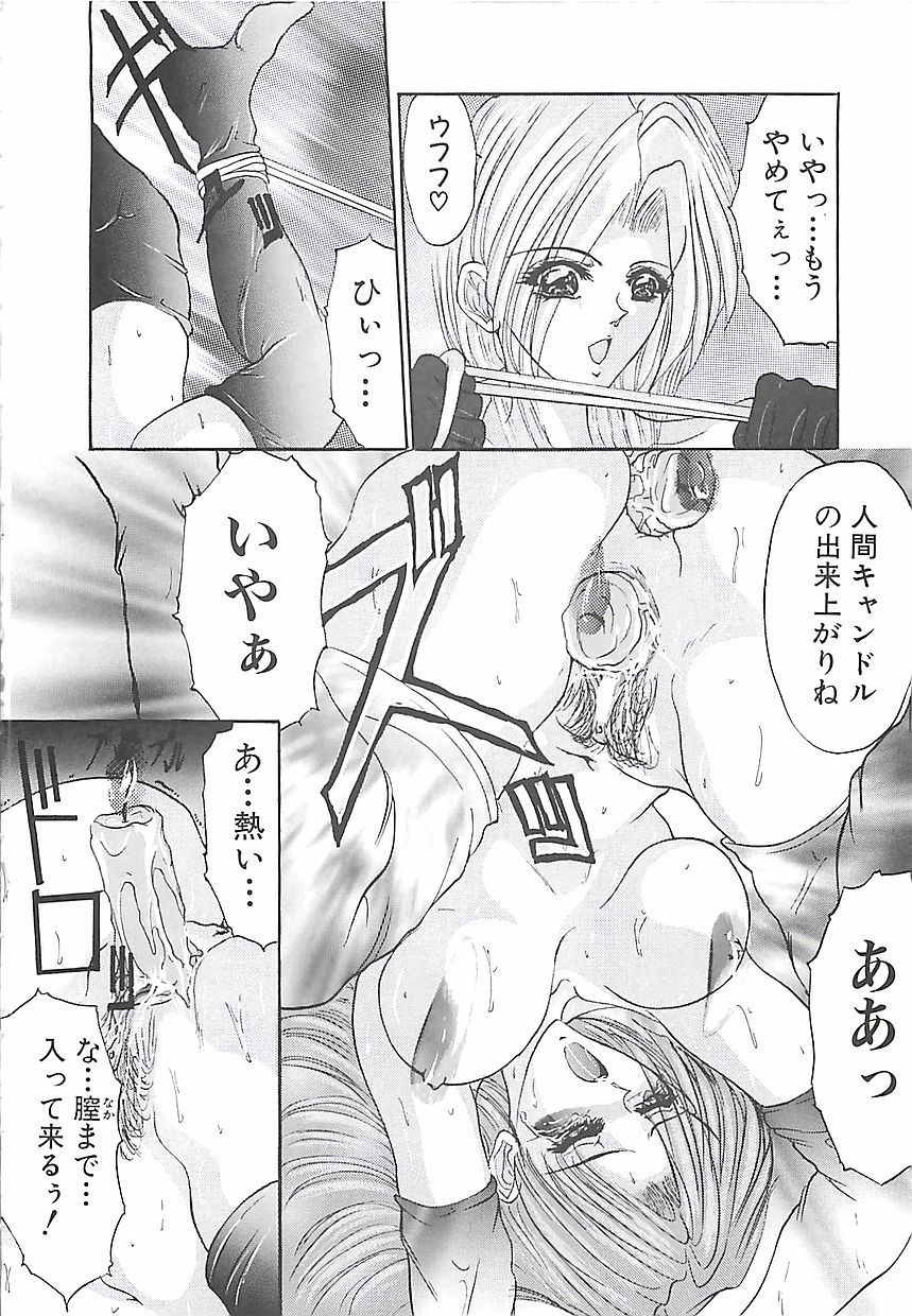 [ぐりふぉん] 美麗倒錯