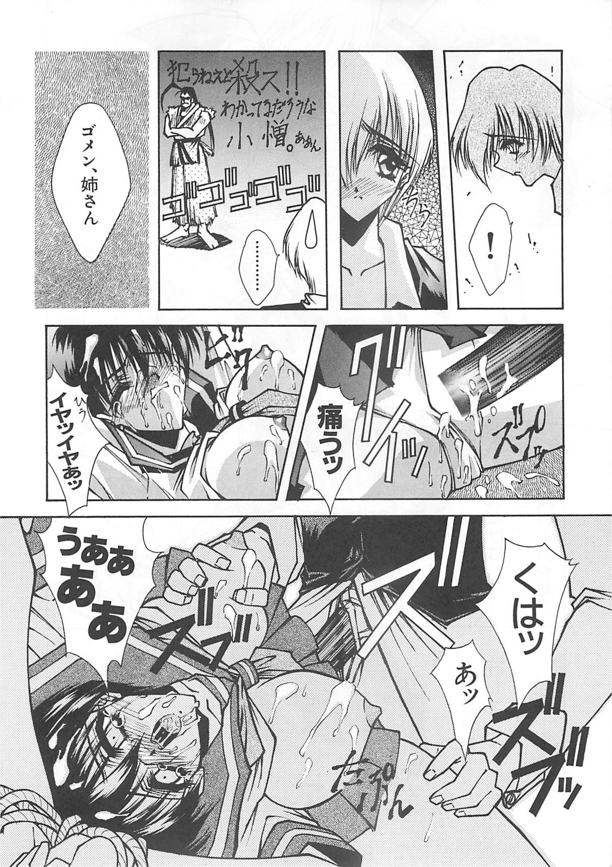 (Cレヴォ21) [BLUE GARNET (芹沢克己)] Blue Garnet Vol.03 散桜 (ストリートファイターZERO)