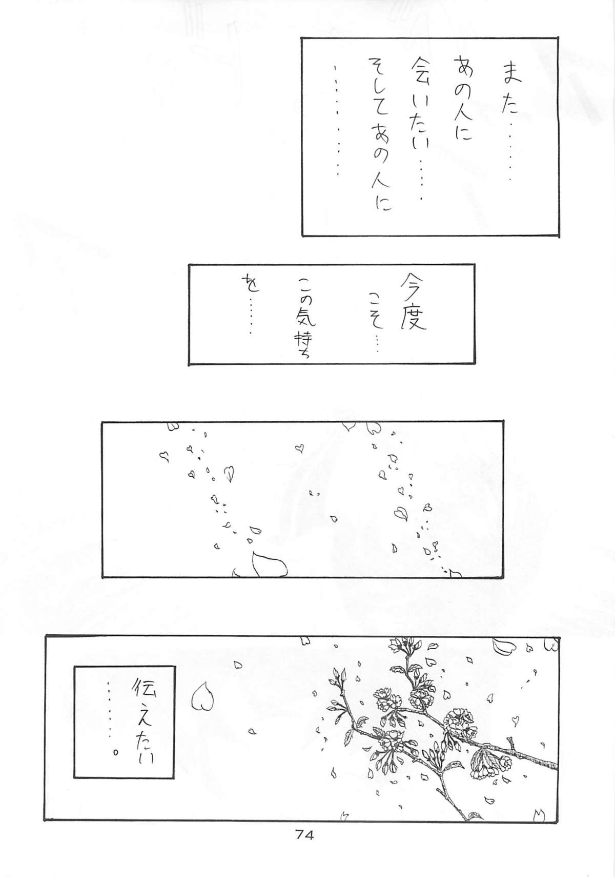 (Cレヴォ21) [BLUE GARNET (芹沢克己)] Blue Garnet Vol.03 散桜 (ストリートファイターZERO)