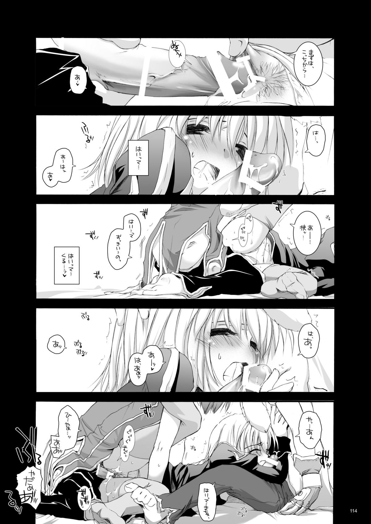 [Digital Lover (なかじまゆか)] DL-RO総集編02 (ラグナロクオンライン) [DL版]