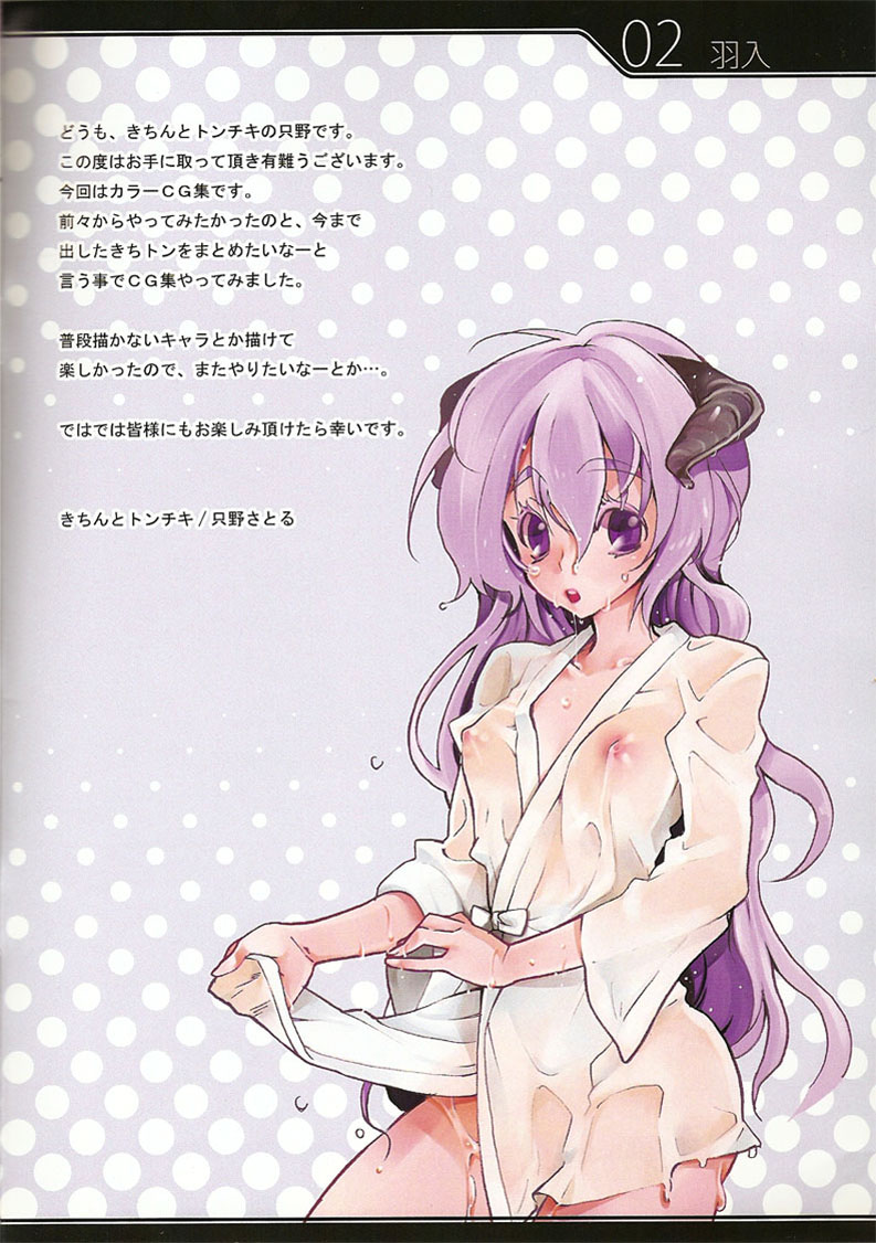 (C75) [きちんとトンチキ (只野さとる, 志我内まいと)] Kichi-ton Year end '08 (よろず)