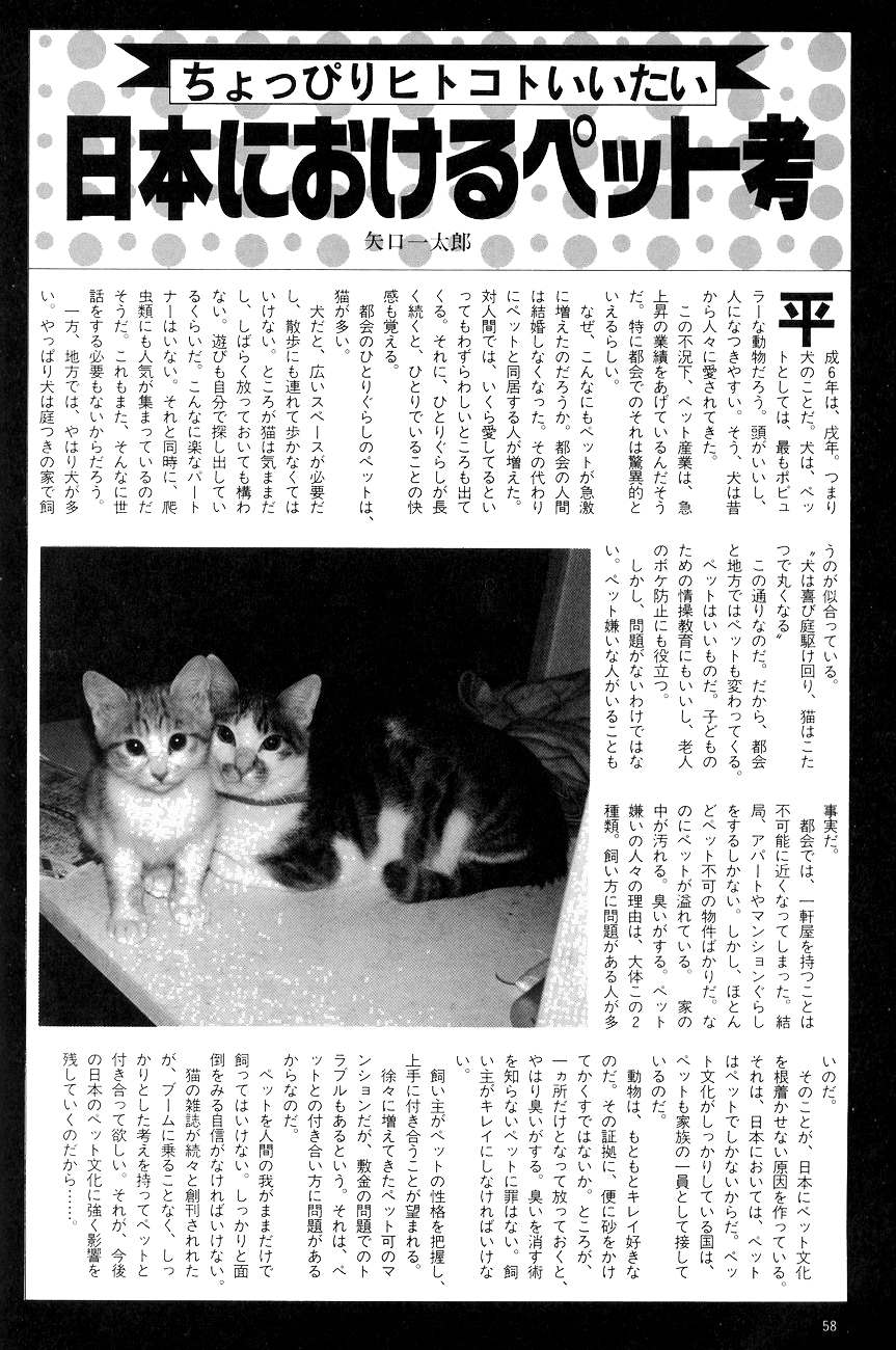 ハイスクール白書