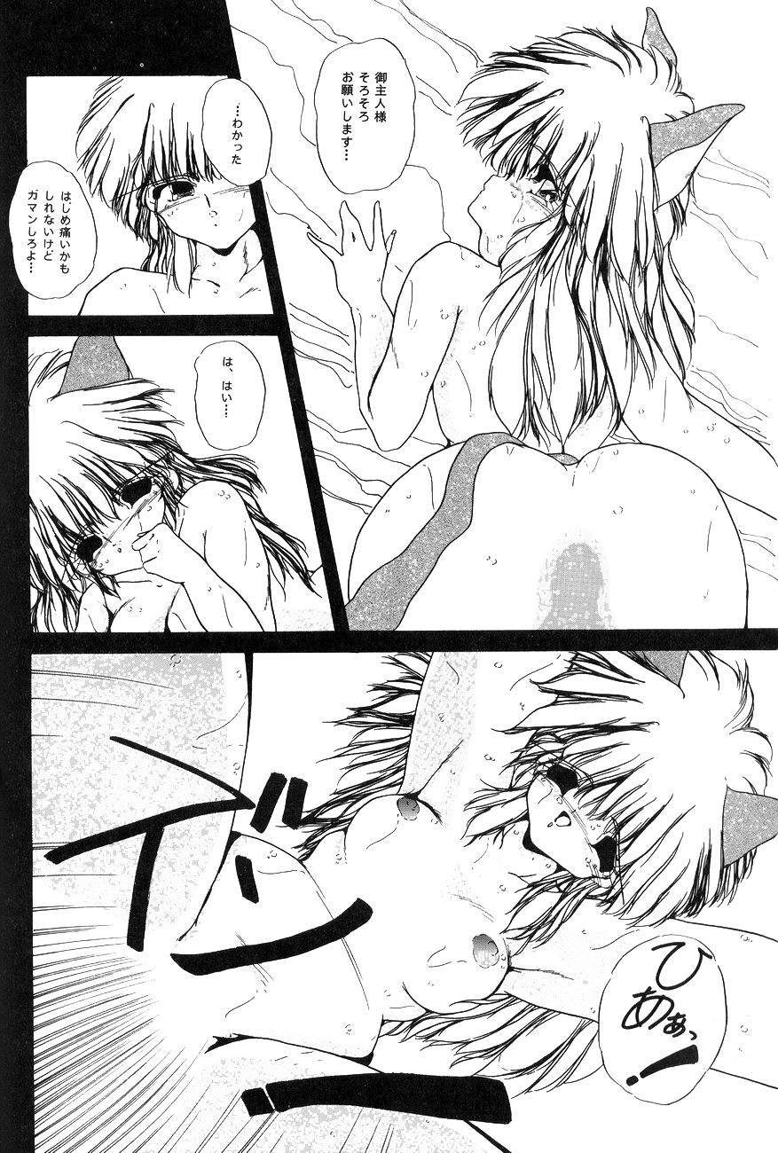 ハイスクール白書