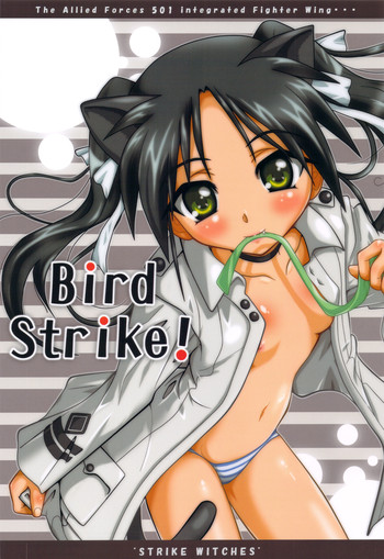 (C77) [テラドライヴ (帝羅)] Bird Strike! (ストライクウィッチーズ)