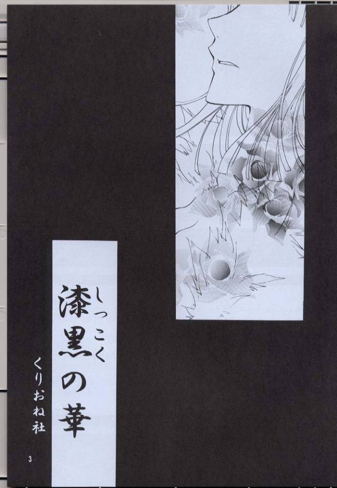 (C63) [くりおね館 (YU-RI)] 漆黒の華 (ワンピース)