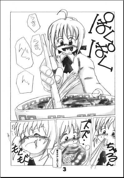 (C70) [RUBY FRUIT (琴月絶人)] せいばぁ トイレと調教記 (Fate/stay night)