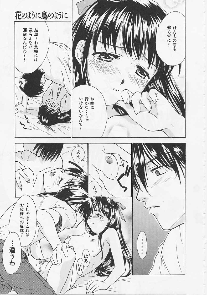 [二階堂みつき] 花のように鳥のように